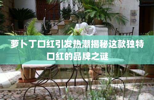 萝卜丁口红引发热潮揭秘这款独特口红的品牌之谜