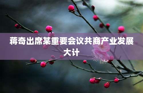 蒋奇出席某重要会议共商产业发展大计