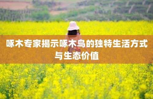 啄木专家揭示啄木鸟的独特生活方式与生态价值