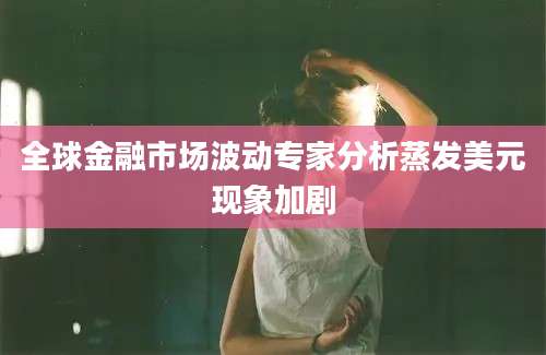 全球金融市场波动专家分析蒸发美元现象加剧