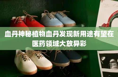 血丹神秘植物血丹发现新用途有望在医药领域大放异彩