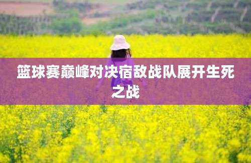 篮球赛巅峰对决宿敌战队展开生死之战