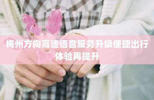 梅州方向高速语音服务升级便捷出行体验再提升