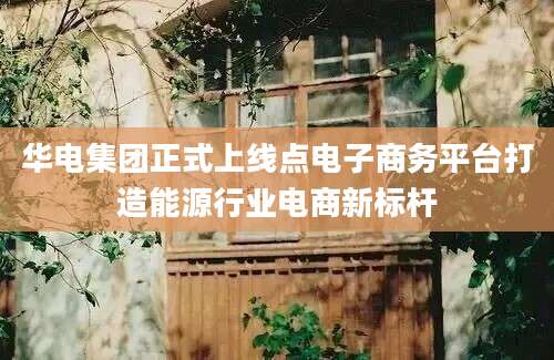 华电集团正式上线点电子商务平台打造能源行业电商新标杆