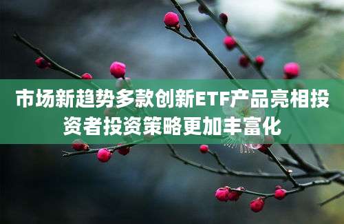 市场新趋势多款创新ETF产品亮相投资者投资策略更加丰富化