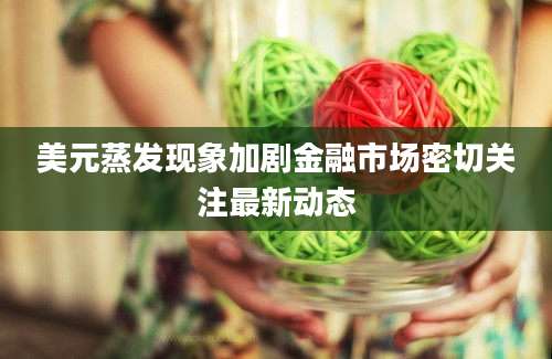 美元蒸发现象加剧金融市场密切关注最新动态