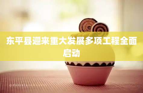 东平县迎来重大发展多项工程全面启动