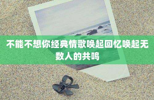 不能不想你经典情歌唤起回忆唤起无数人的共鸣