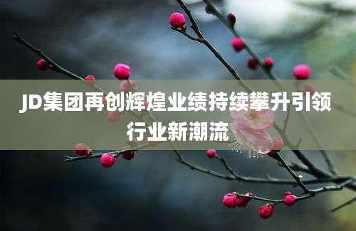 JD集团再创辉煌业绩持续攀升引领行业新潮流