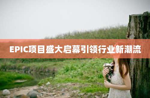 EPIC项目盛大启幕引领行业新潮流