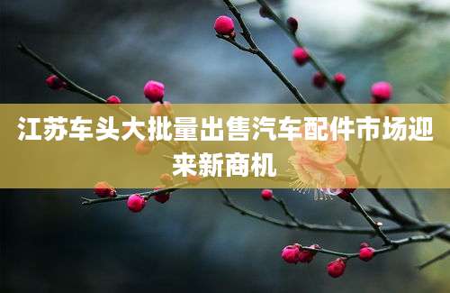 江苏车头大批量出售汽车配件市场迎来新商机
