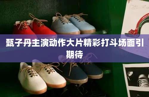 甄子丹主演动作大片精彩打斗场面引期待