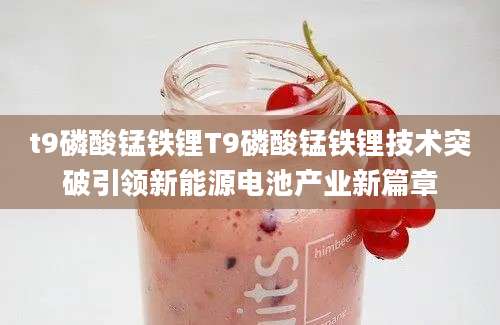 t9磷酸锰铁锂T9磷酸锰铁锂技术突破引领新能源电池产业新篇章