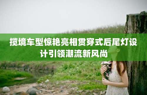 揽境车型惊艳亮相贯穿式后尾灯设计引领潮流新风尚