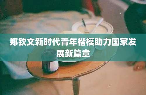 郑钦文新时代青年楷模助力国家发展新篇章