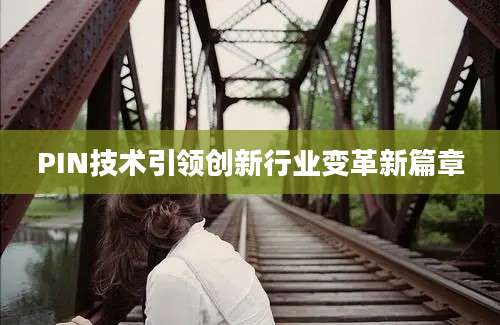 PIN技术引领创新行业变革新篇章