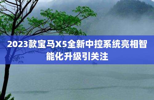 2023款宝马X5全新中控系统亮相智能化升级引关注