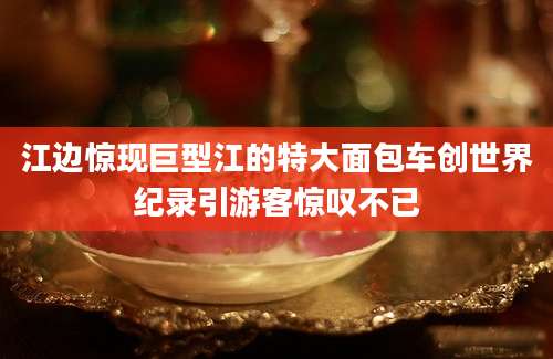 江边惊现巨型江的特大面包车创世界纪录引游客惊叹不已