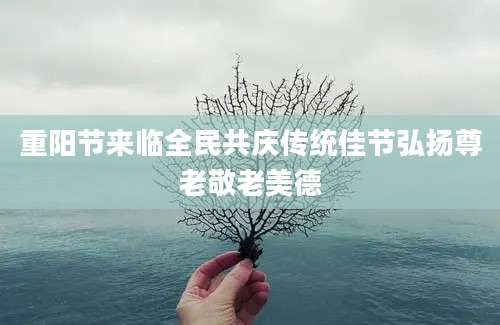重阳节来临全民共庆传统佳节弘扬尊老敬老美德