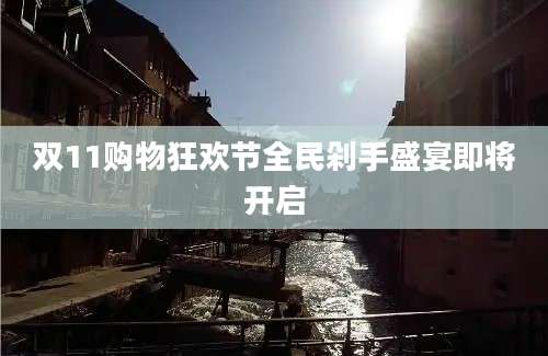 双11购物狂欢节全民剁手盛宴即将开启