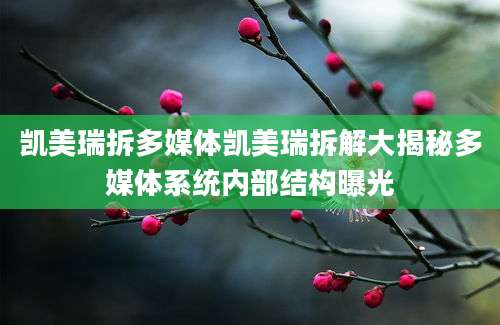 凯美瑞拆多媒体凯美瑞拆解大揭秘多媒体系统内部结构曝光