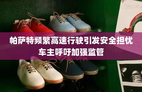 帕萨特频繁高速行驶引发安全担忧车主呼吁加强监管