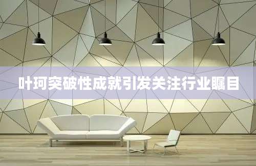 叶珂突破性成就引发关注行业瞩目