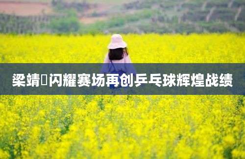 梁靖崑闪耀赛场再创乒乓球辉煌战绩