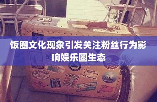 饭圈文化现象引发关注粉丝行为影响娱乐圈生态
