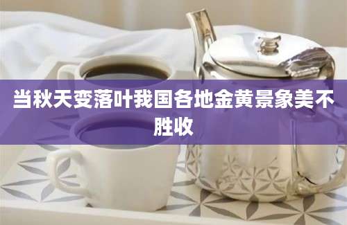 当秋天变落叶我国各地金黄景象美不胜收