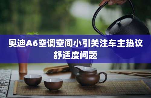 奥迪A6空调空间小引关注车主热议舒适度问题