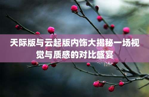天际版与云起版内饰大揭秘一场视觉与质感的对比盛宴
