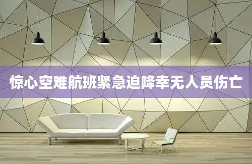 惊心空难航班紧急迫降幸无人员伤亡