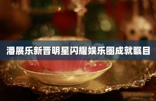 潘展乐新晋明星闪耀娱乐圈成就瞩目