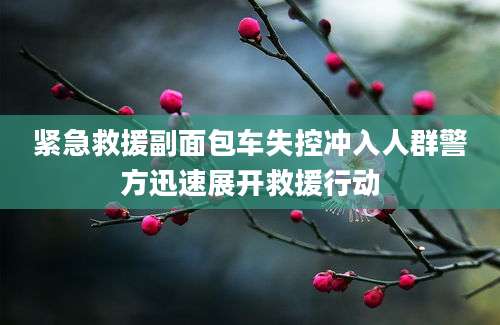 紧急救援副面包车失控冲入人群警方迅速展开救援行动