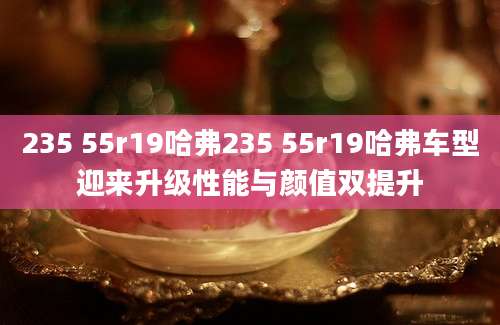 235 55r19哈弗235 55r19哈弗车型迎来升级性能与颜值双提升