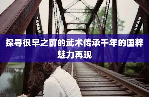 探寻很早之前的武术传承千年的国粹魅力再现