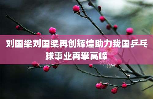 刘国梁刘国梁再创辉煌助力我国乒乓球事业再攀高峰