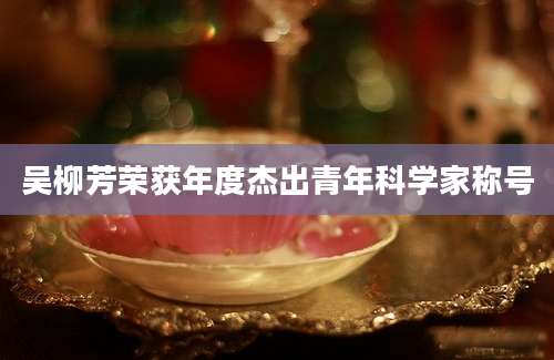吴柳芳荣获年度杰出青年科学家称号