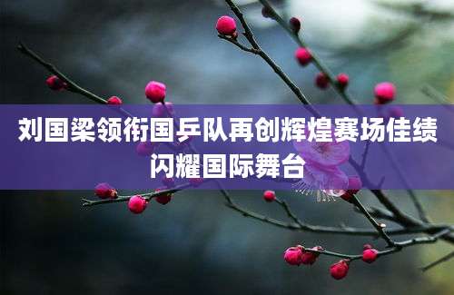 刘国梁领衔国乒队再创辉煌赛场佳绩闪耀国际舞台