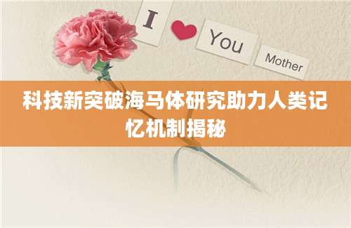 科技新突破海马体研究助力人类记忆机制揭秘