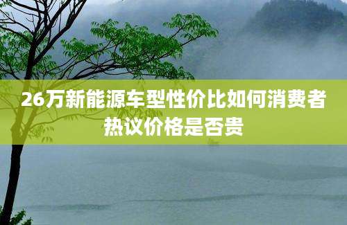 26万新能源车型性价比如何消费者热议价格是否贵