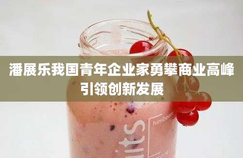 潘展乐我国青年企业家勇攀商业高峰引领创新发展