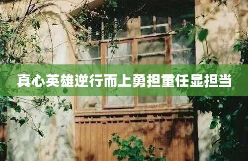 真心英雄逆行而上勇担重任显担当