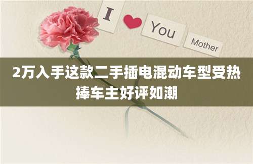 2万入手这款二手插电混动车型受热捧车主好评如潮