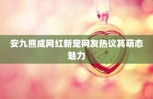 安九熊成网红新宠网友热议其萌态魅力