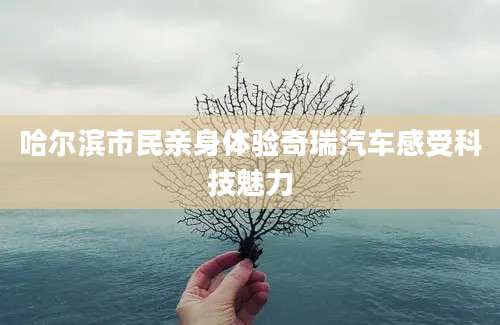 哈尔滨市民亲身体验奇瑞汽车感受科技魅力