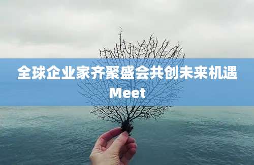 全球企业家齐聚盛会共创未来机遇Meet