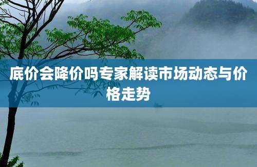 底价会降价吗专家解读市场动态与价格走势