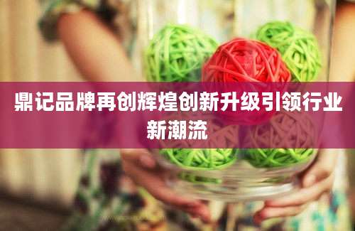 鼎记品牌再创辉煌创新升级引领行业新潮流